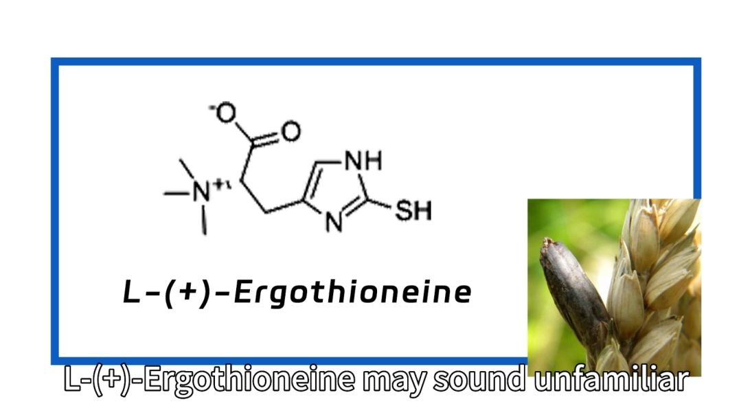 ⁣Product introduction of ergothionein