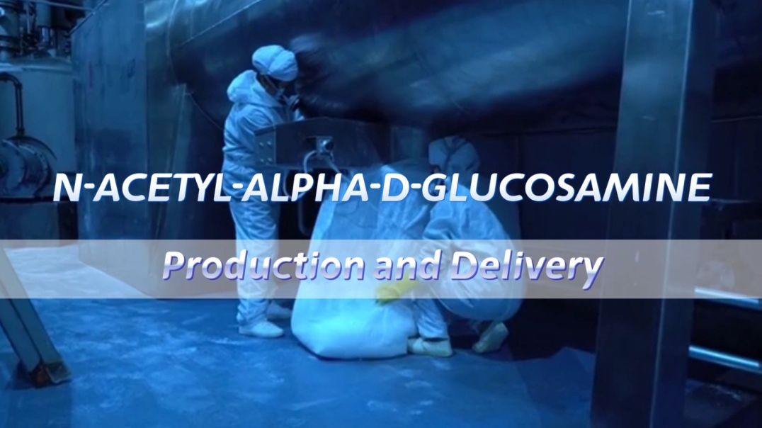 The entire process from production to shipment of N-ACETYL-ALPHA-D-GLOCOSAmine