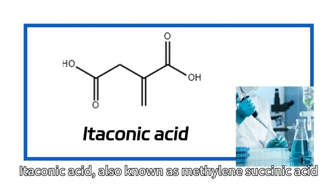 ⁣Itaconic acid product introduction